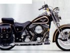 Harley-Davidson Harley Davidson FLSTS Heritage Springer 95TH Anniversary Edition